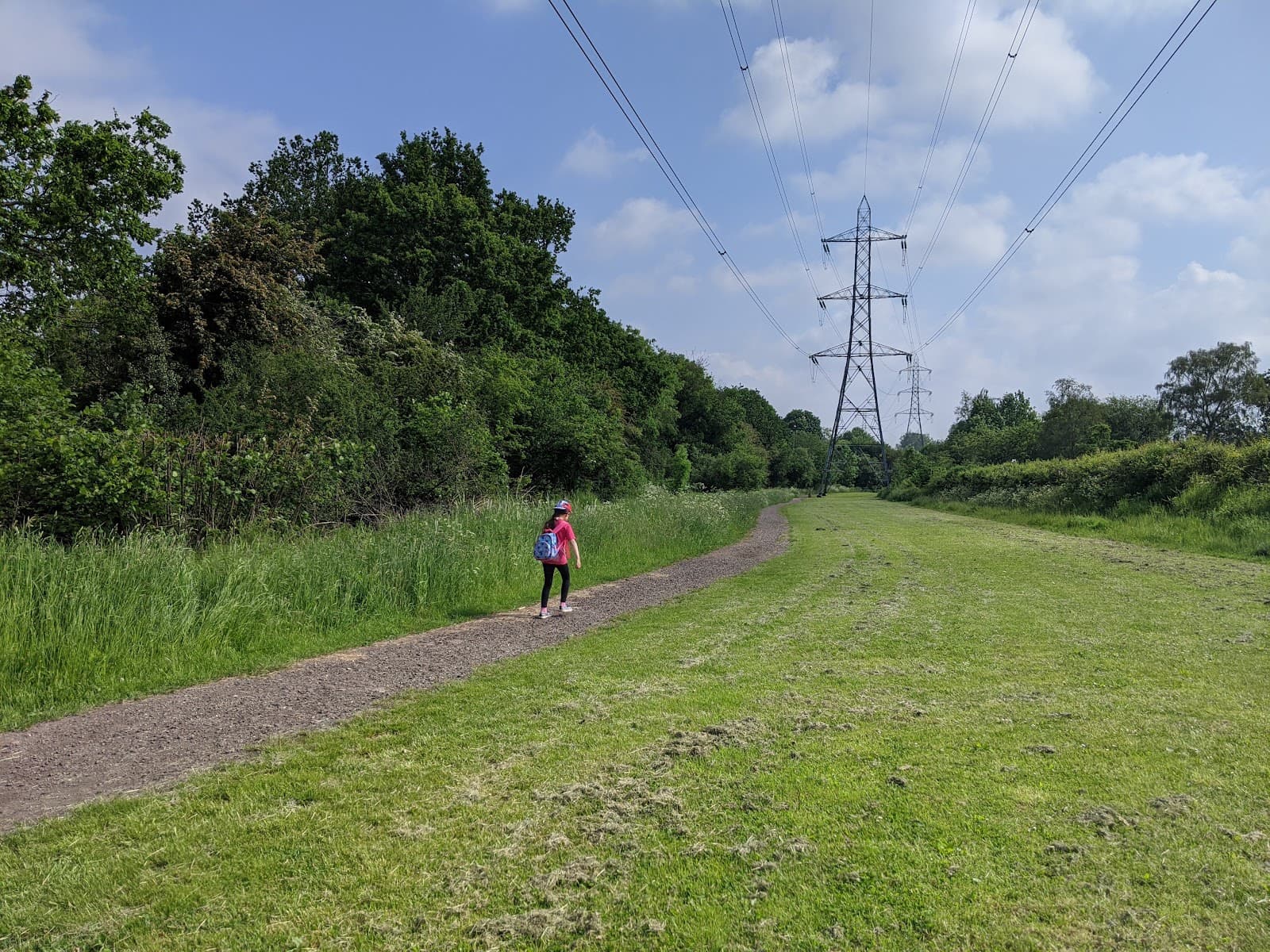 Bonesgate Local Nature Reserve - Image 1