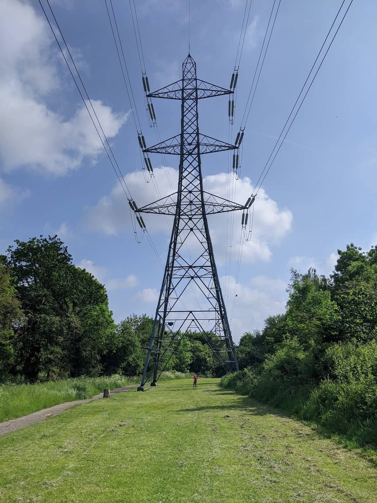 Vertical photo
