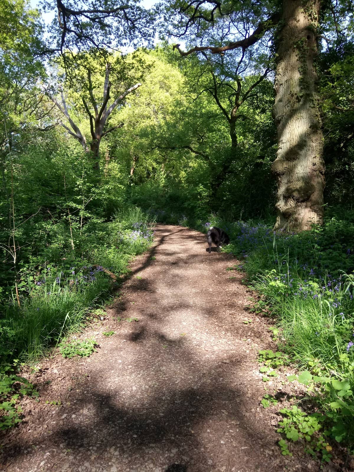 Third hero image