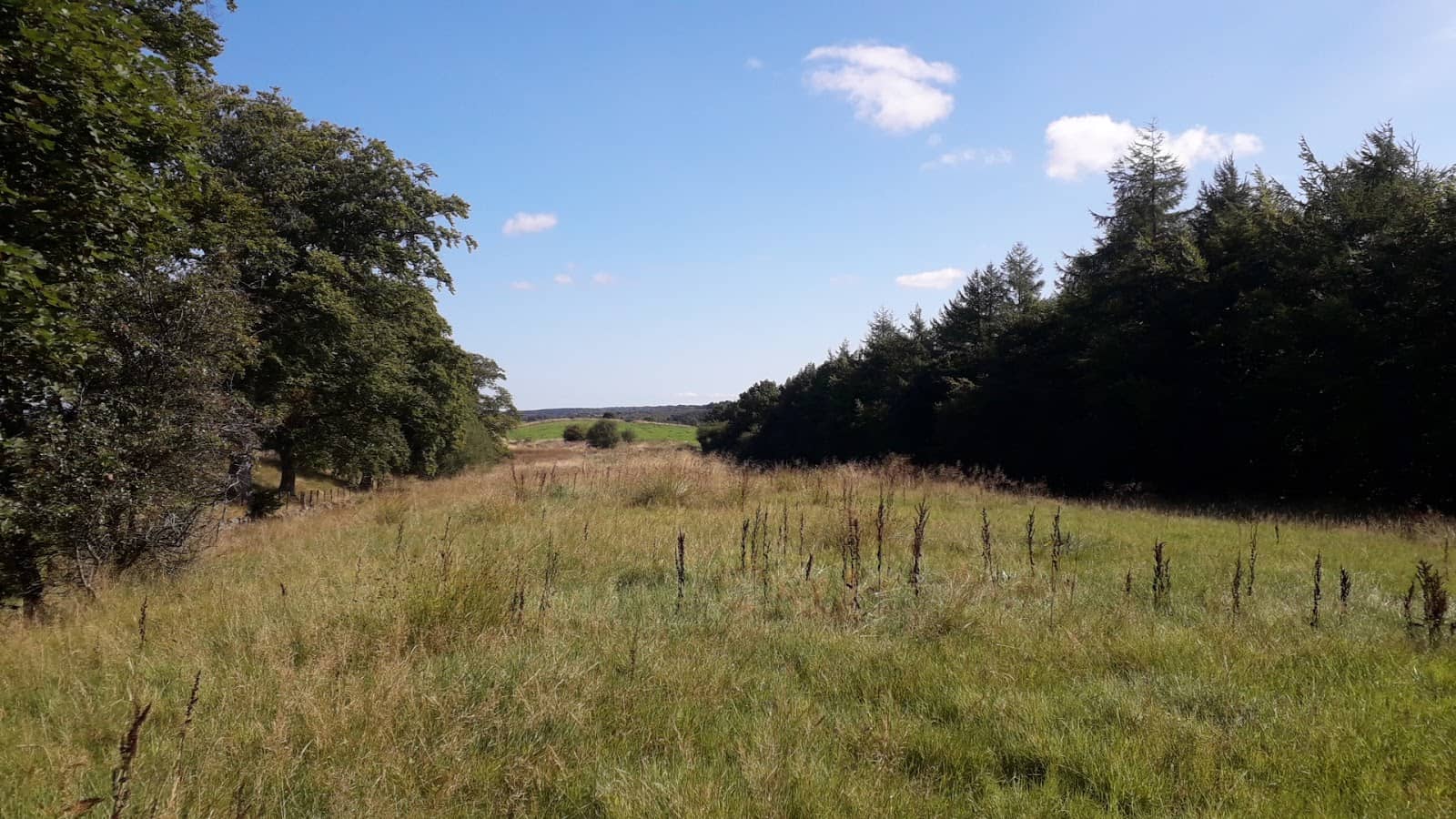 Scenic Walking Paths