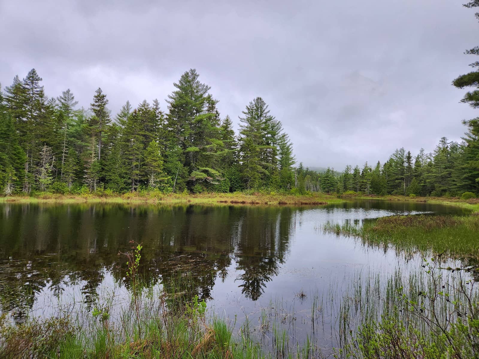 Peaceful Dog-Friendly Retreat