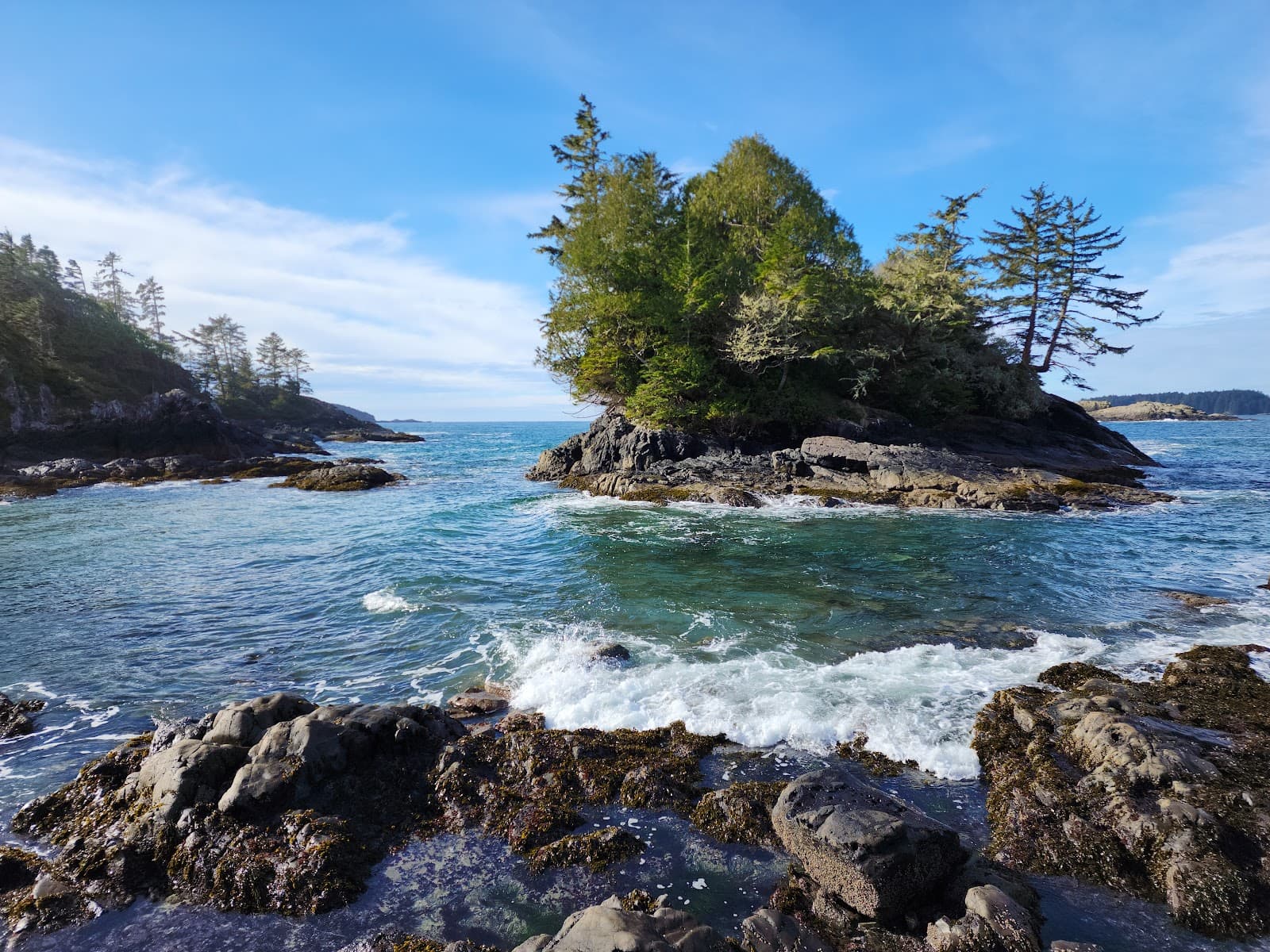 Mackenzie Beach Tofino - Image 1