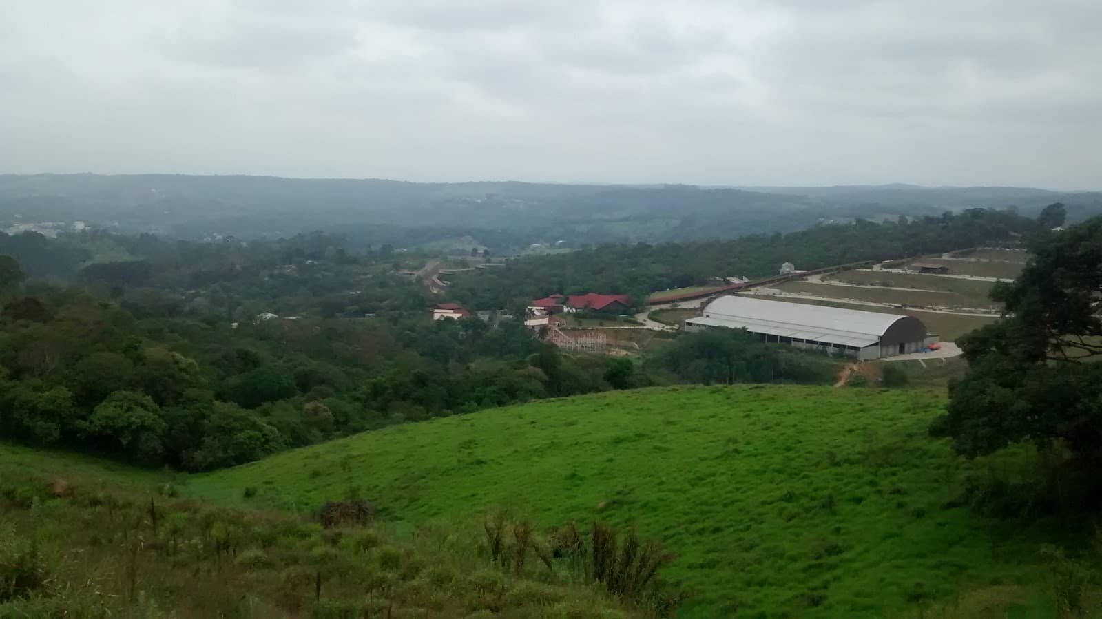 Local Commerce Hub