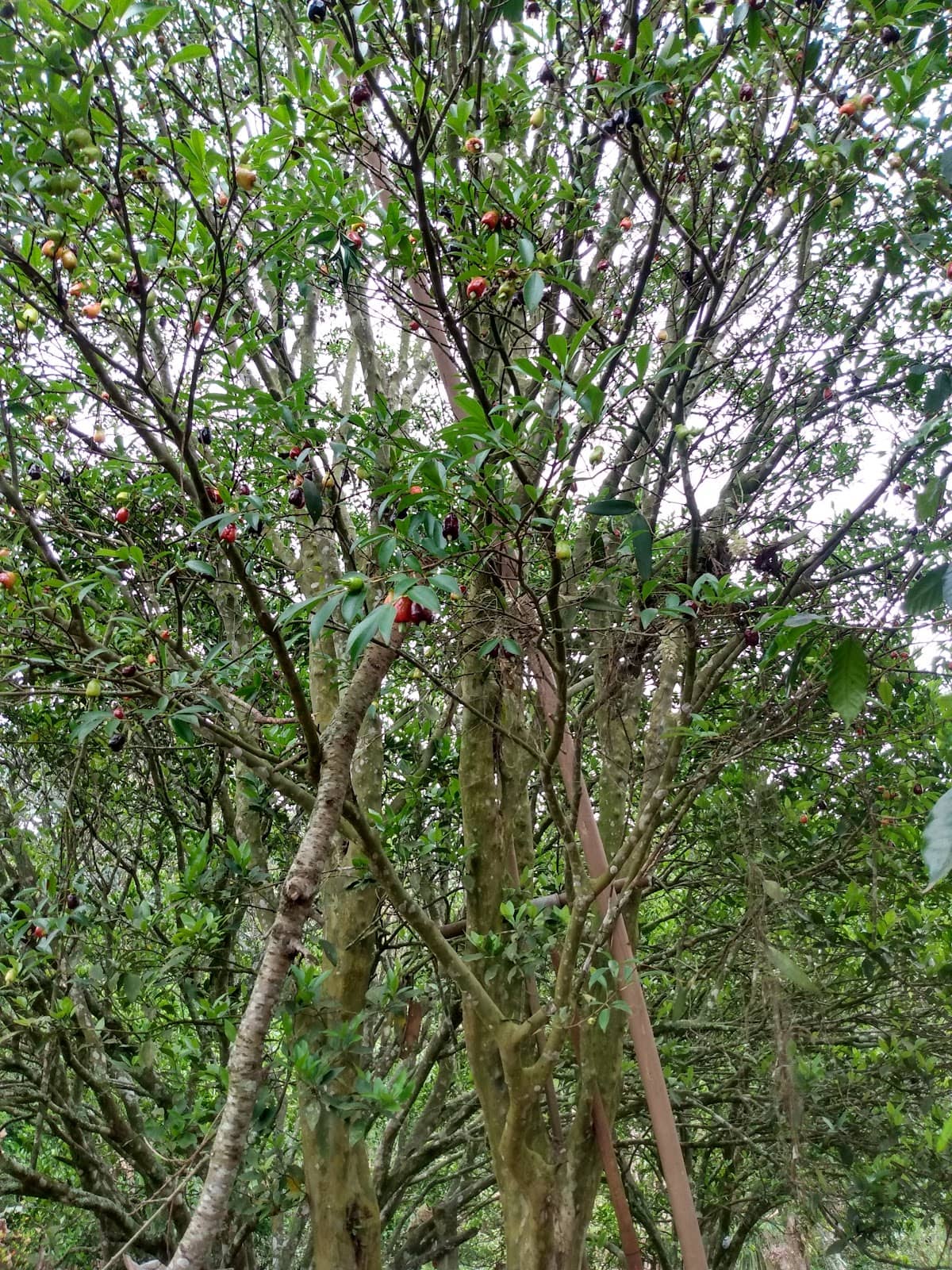 Vertical photo