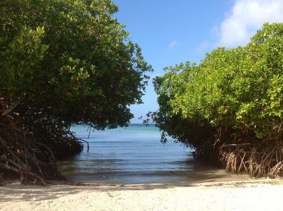 Spanish Lagoon - Image 1