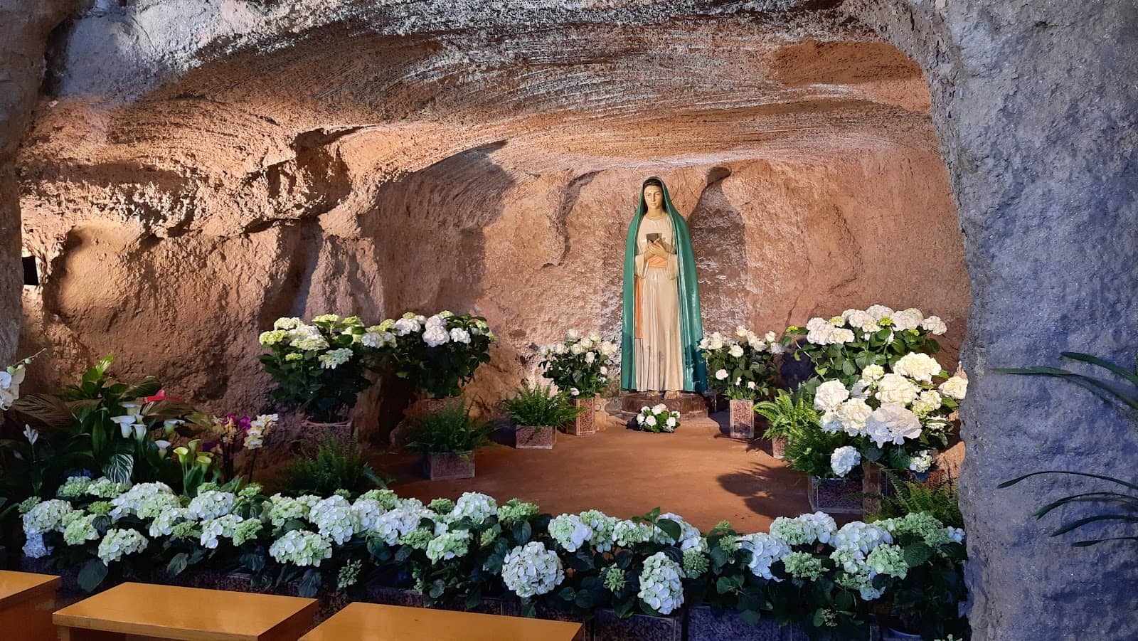 Tranquil Walking Paths