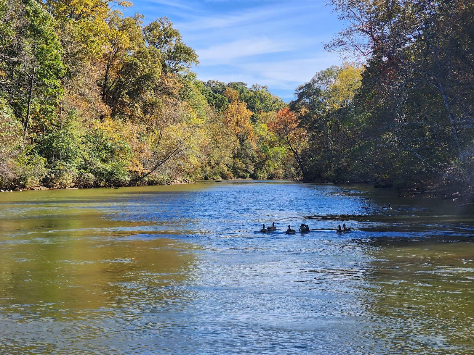 CRNRA – Island Ford - Image 1