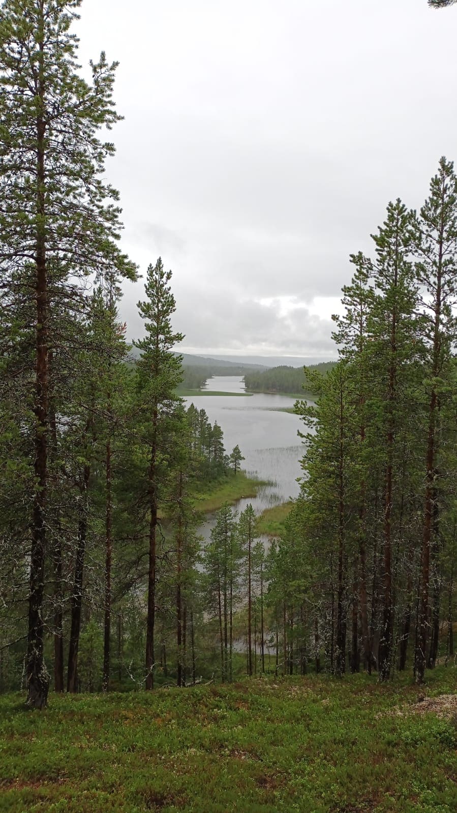 Mølmannsdalen - Image 1