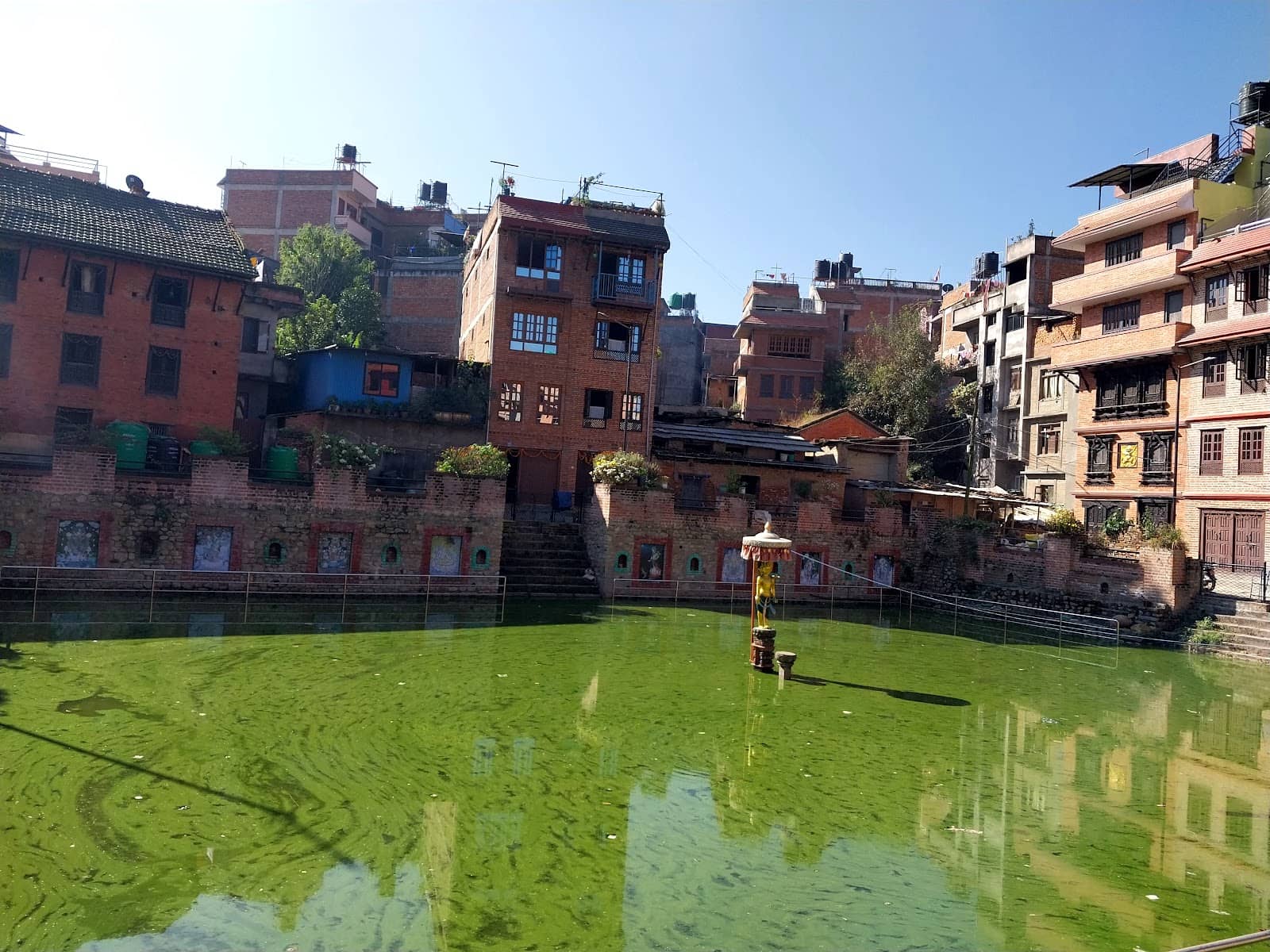 Mustard Oil Mills