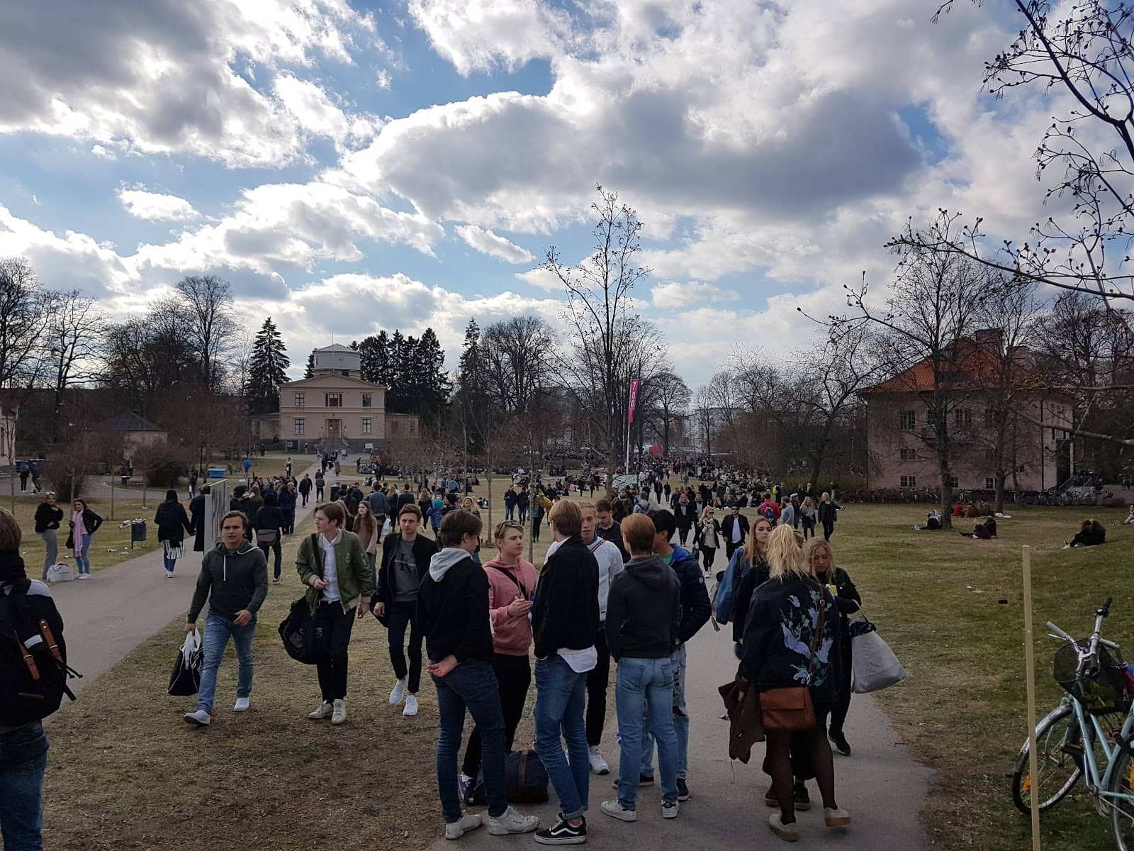 Post-Celebration Landscape