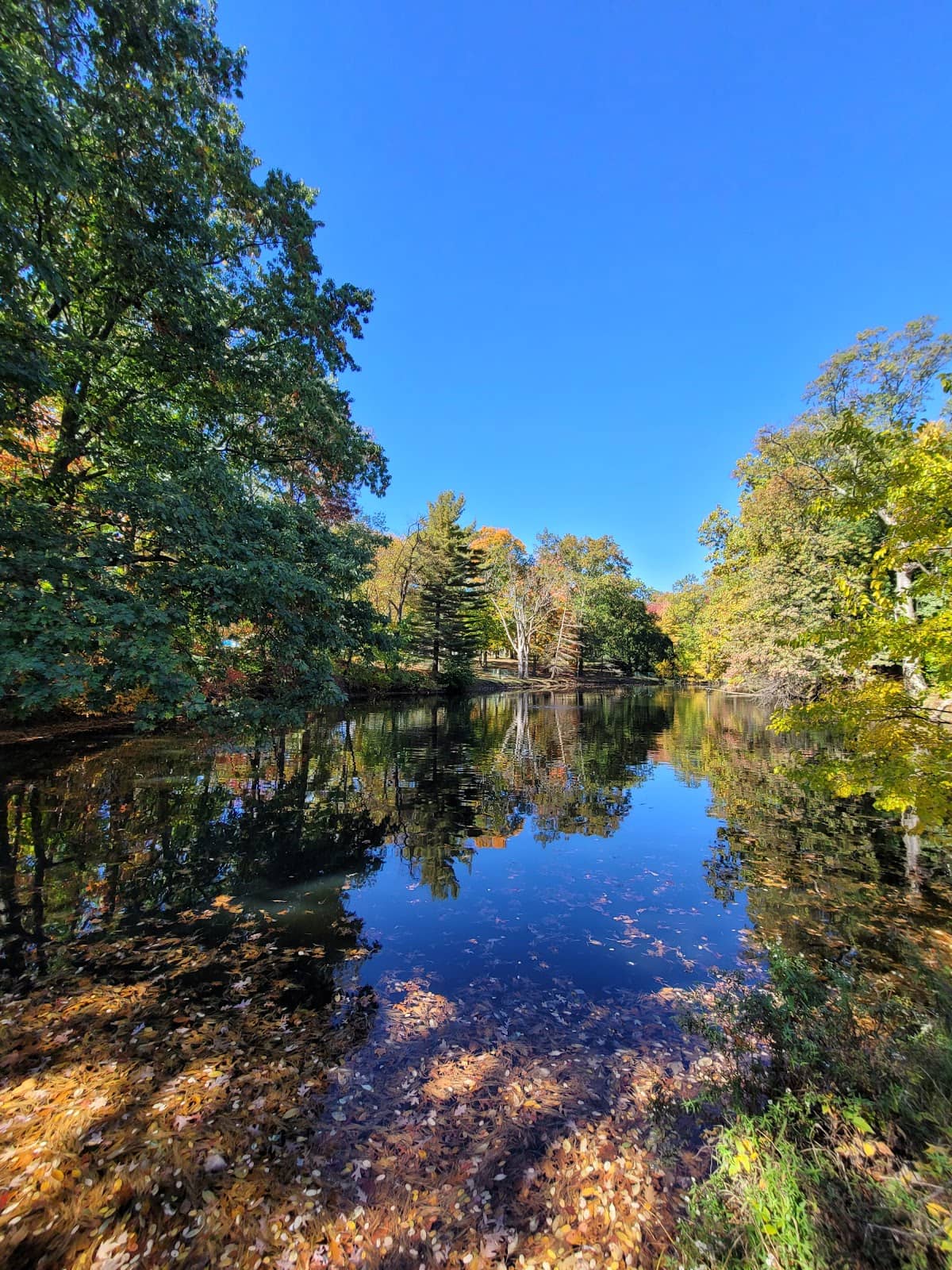 Scenic Walking Trails
