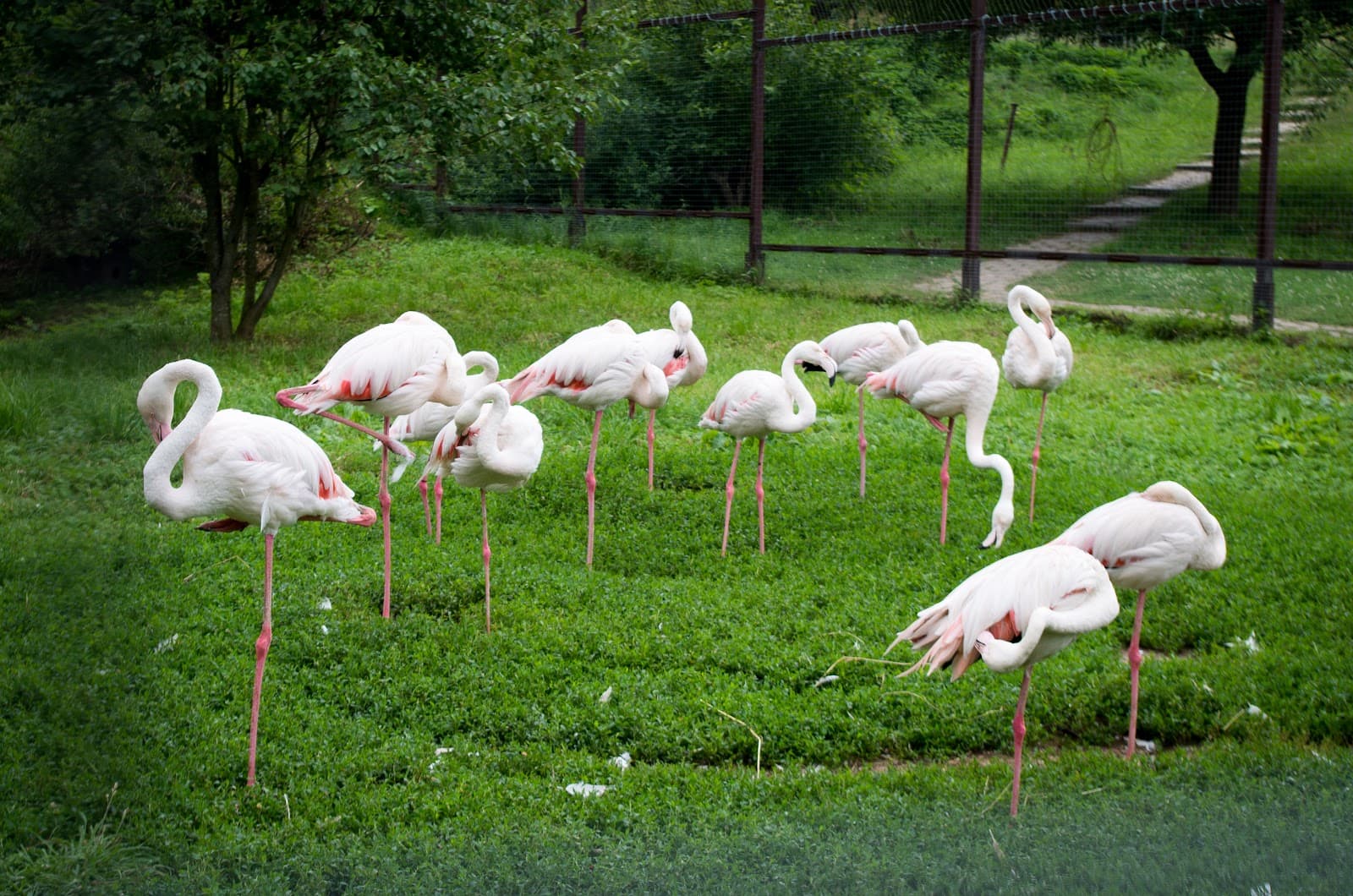 Bird Park Vorobyi - Image 1