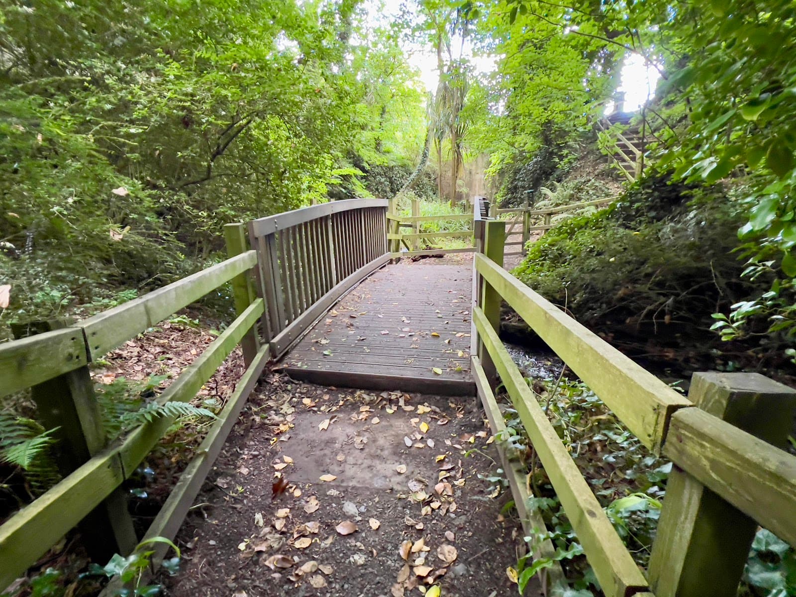 Summerhill Glen - Image 1