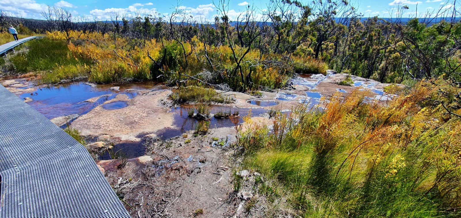 Tranquil Bushland Experience