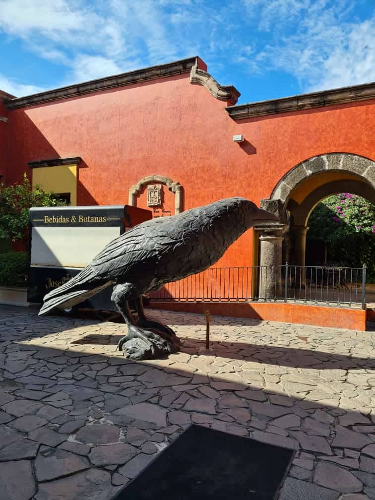 Tequila Town Exploration