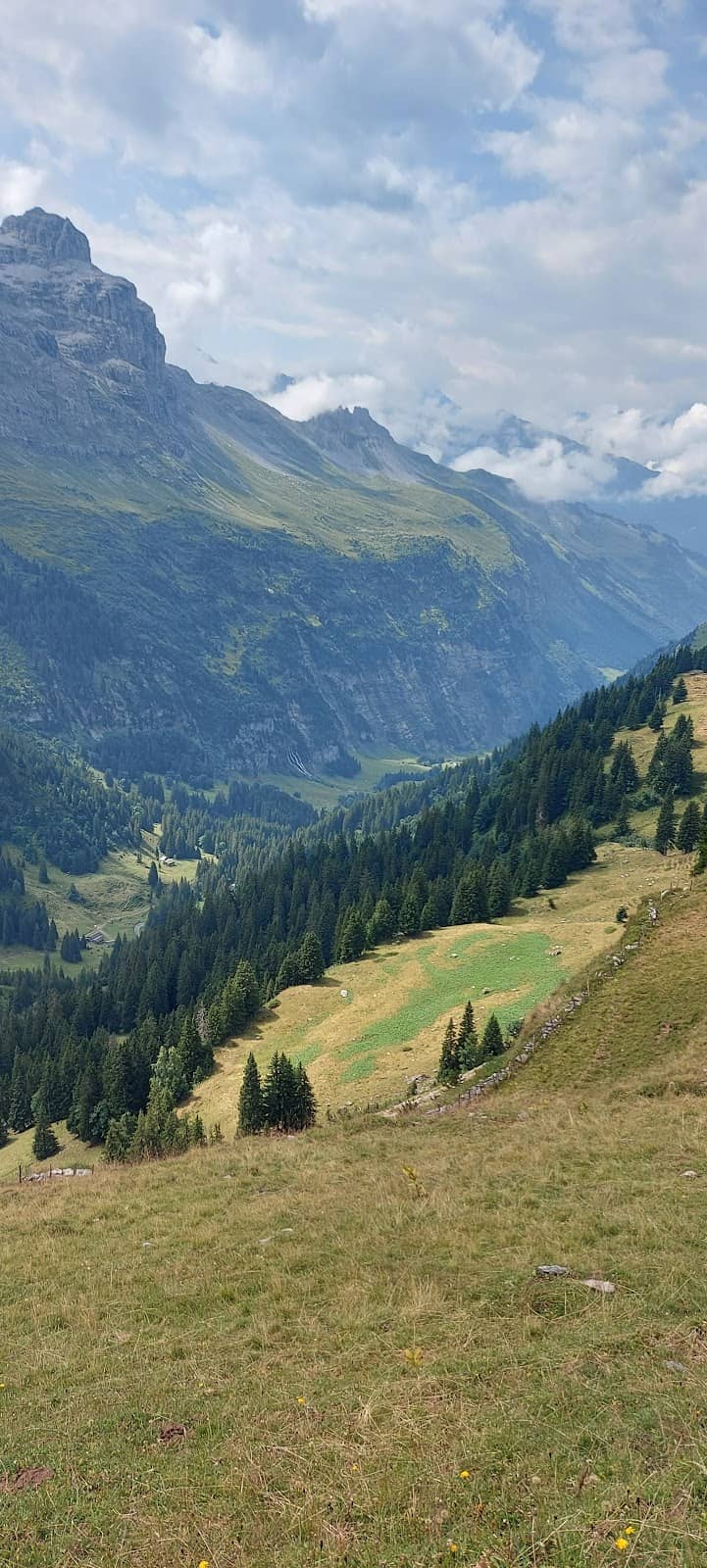 Scenic Mountain Drive