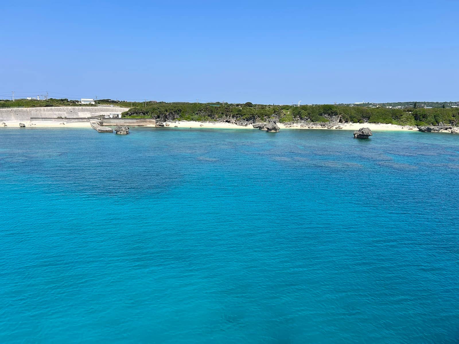 Tropical Island Welcome