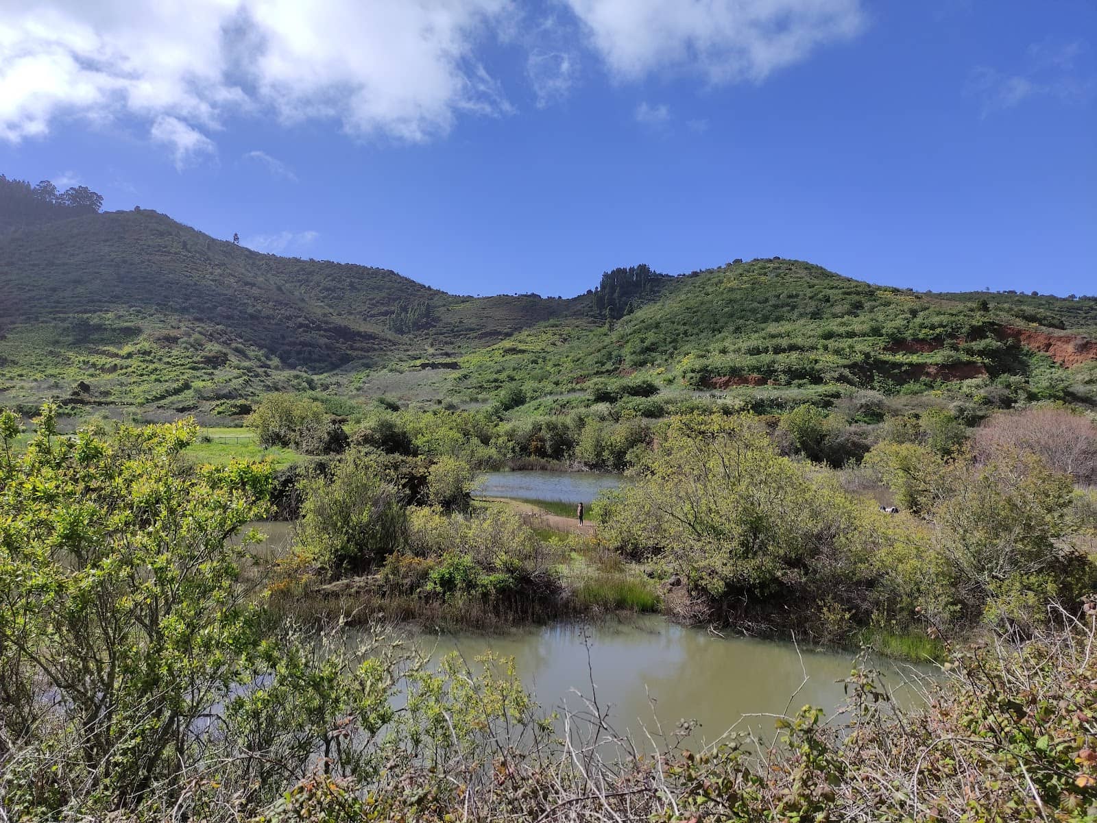 Tranquil Pond Scenery