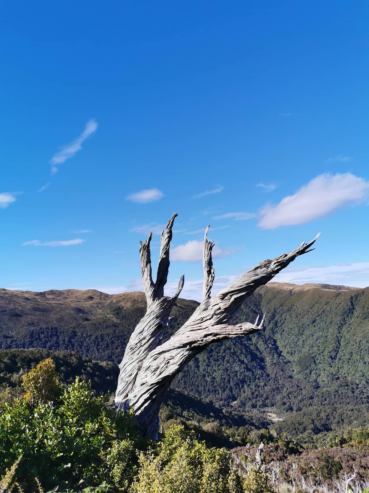 Vertical photo