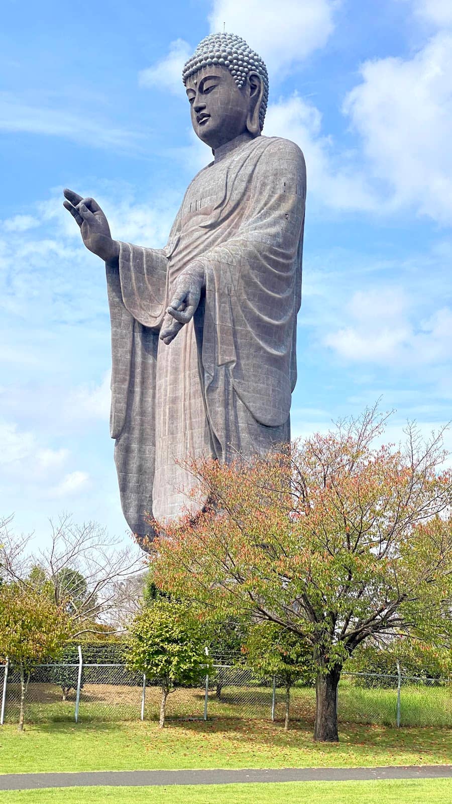 Vertical photo