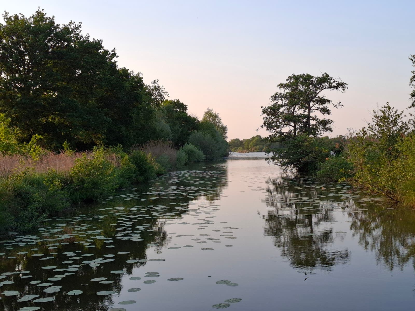 Romelaëre Nature Reserve - Image 1