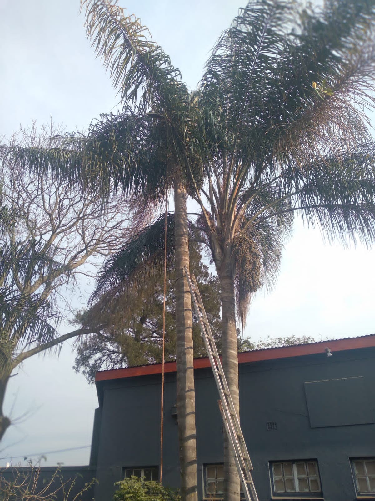 Scottsville - Image 1