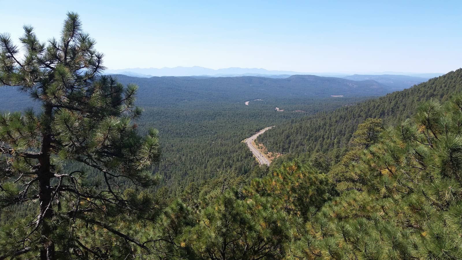 Local Wildlife Viewing