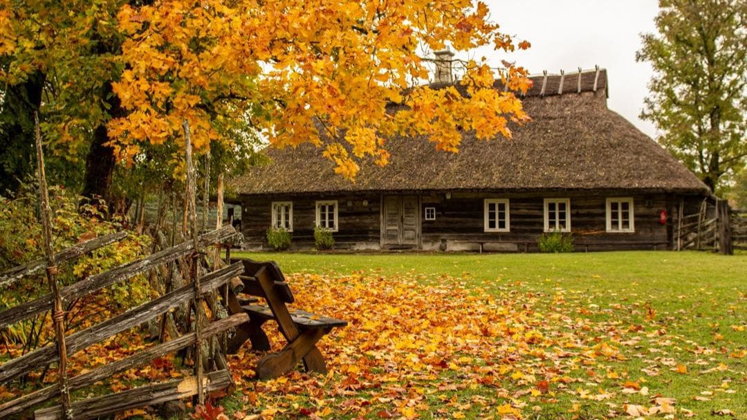 Mihkli Farm Museum - Image 1