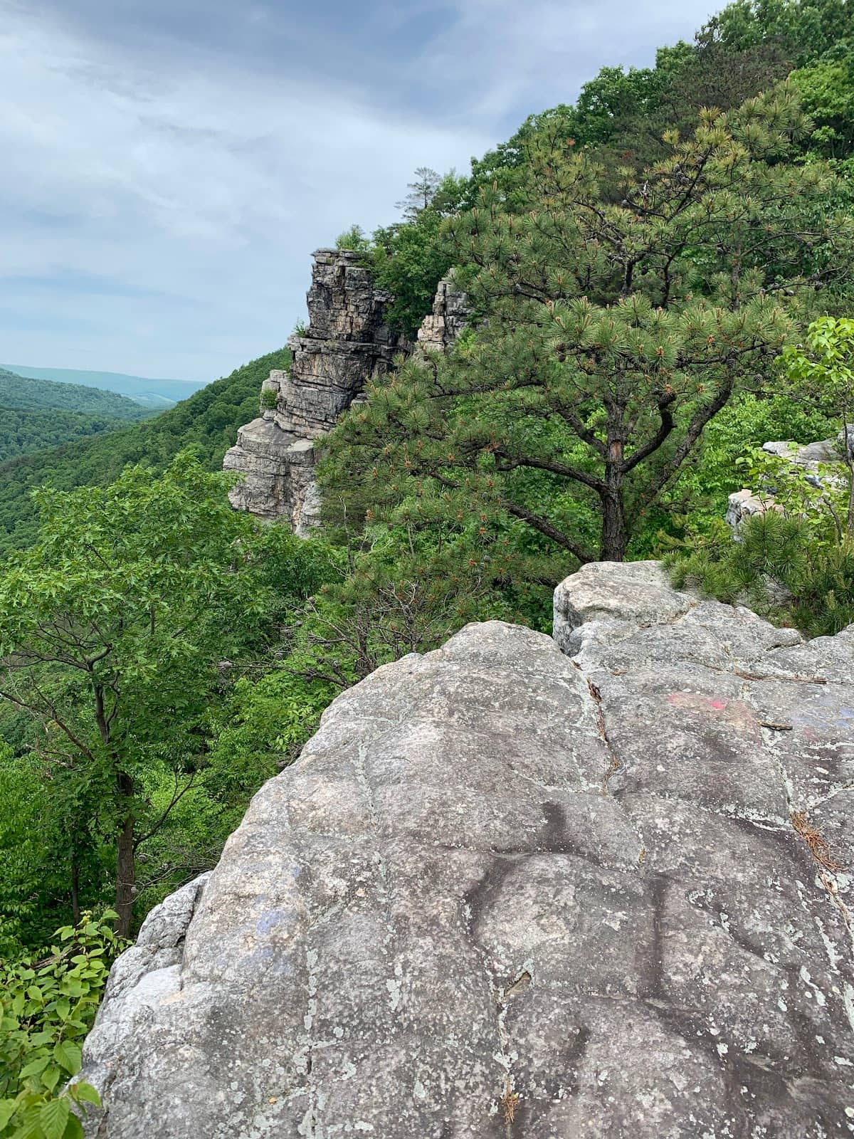 Ridge Line Trail