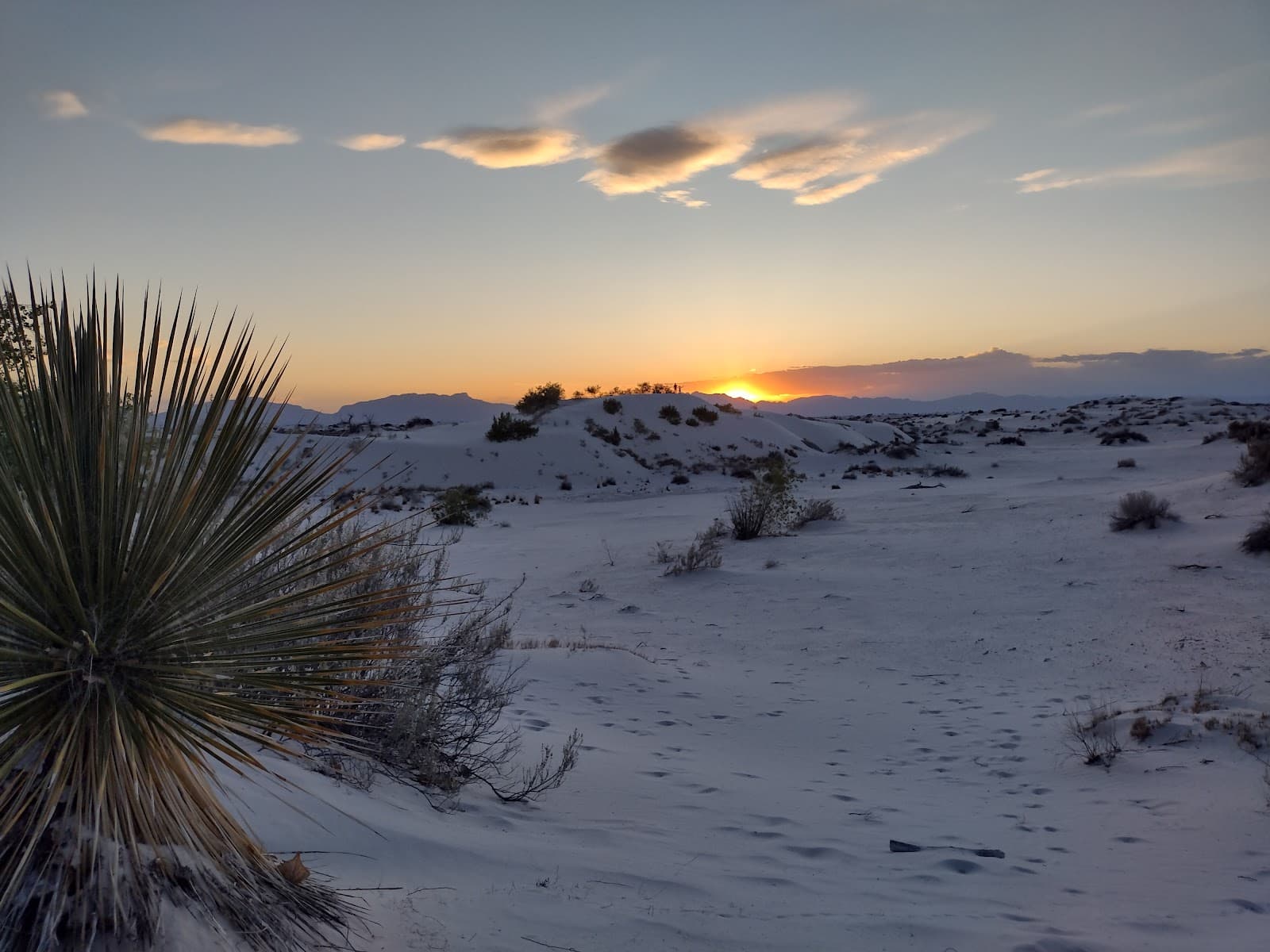 Dune Life Nature Trail - Image 1