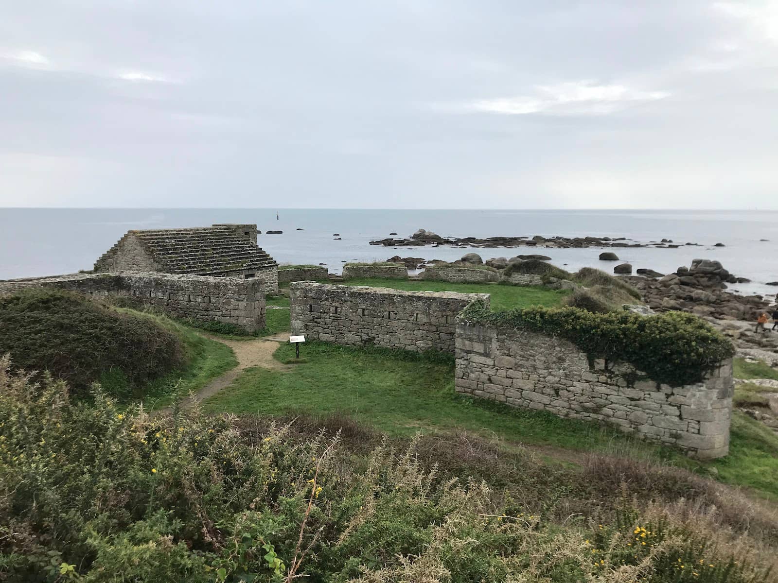 Rocky Beach Exploration
