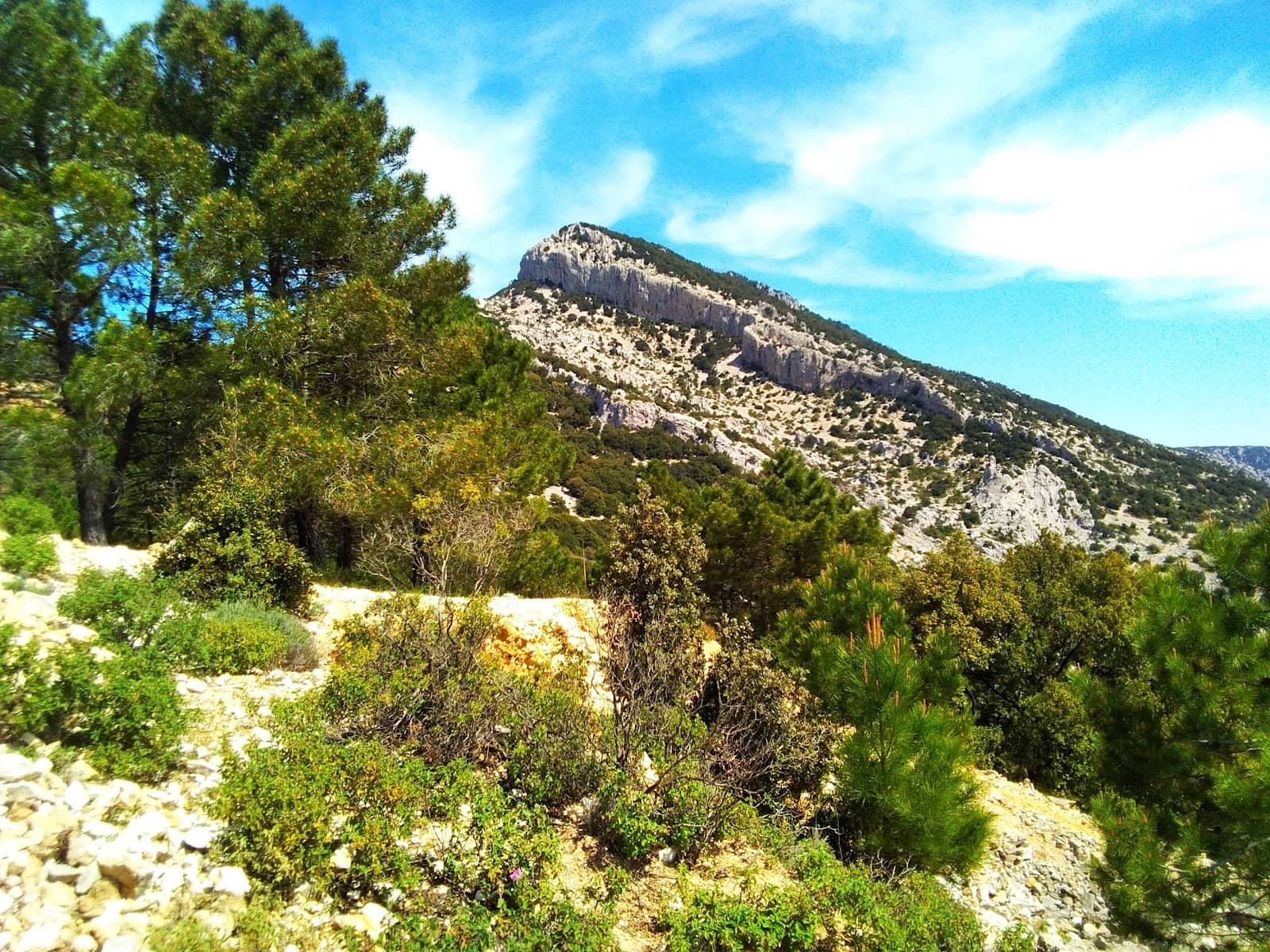 Vertical photo