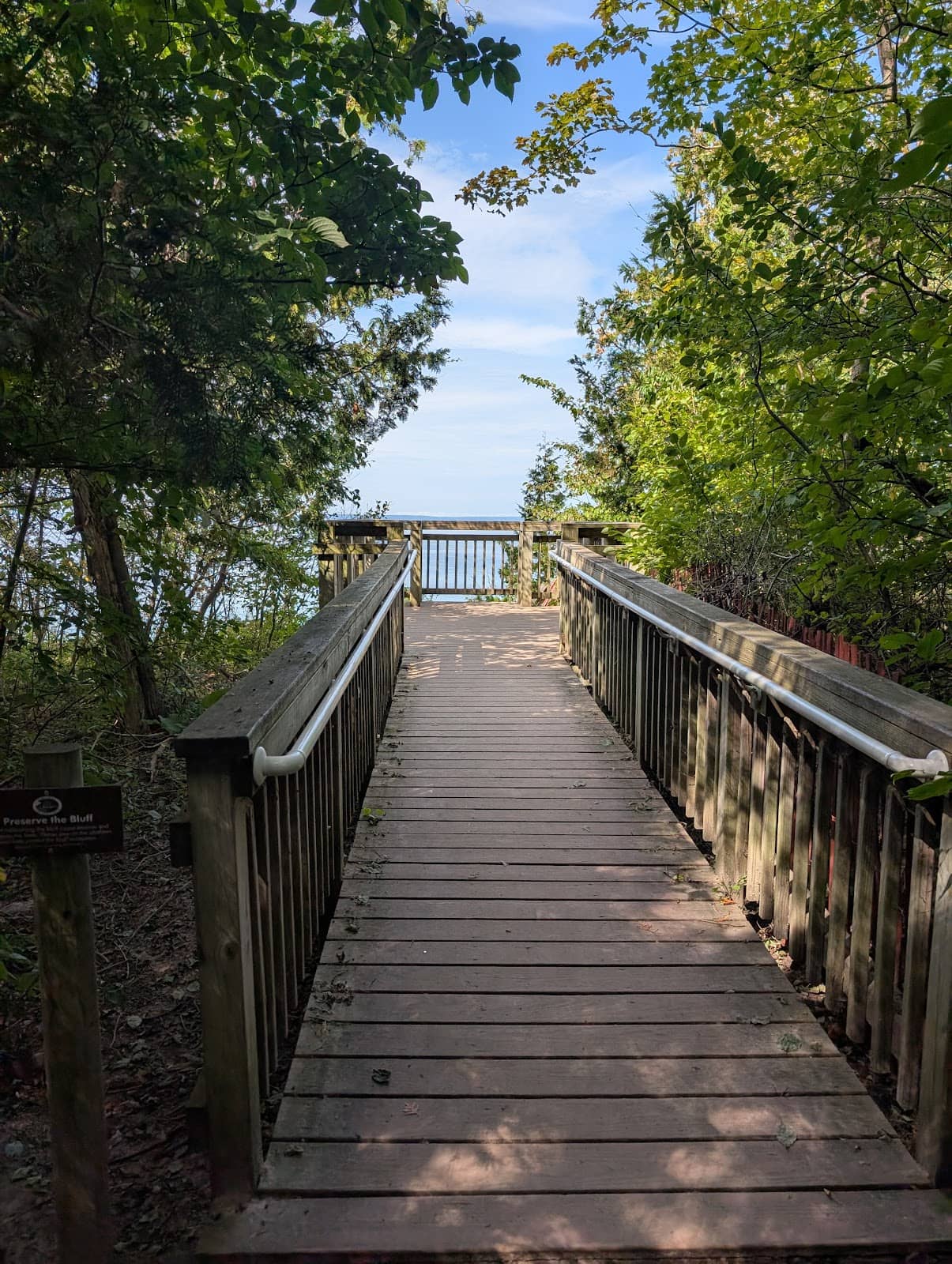 White Trillium Bloom