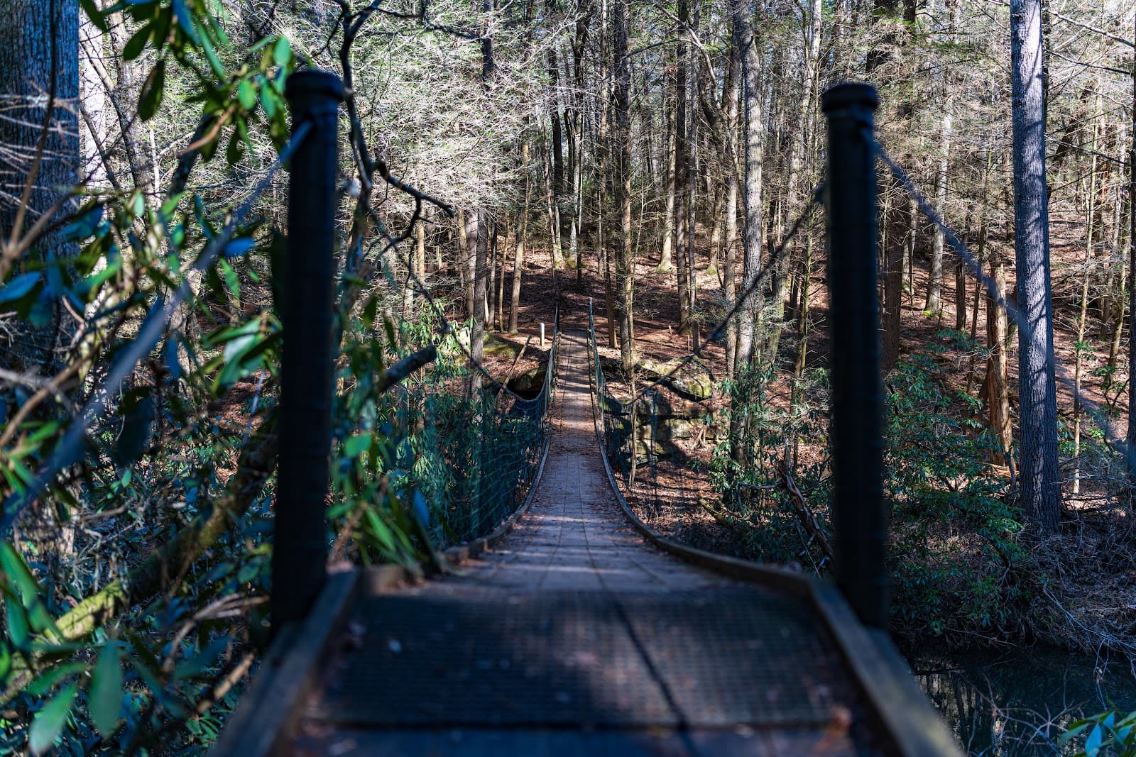 Byrd Lake Suspension Bridge - Image 1