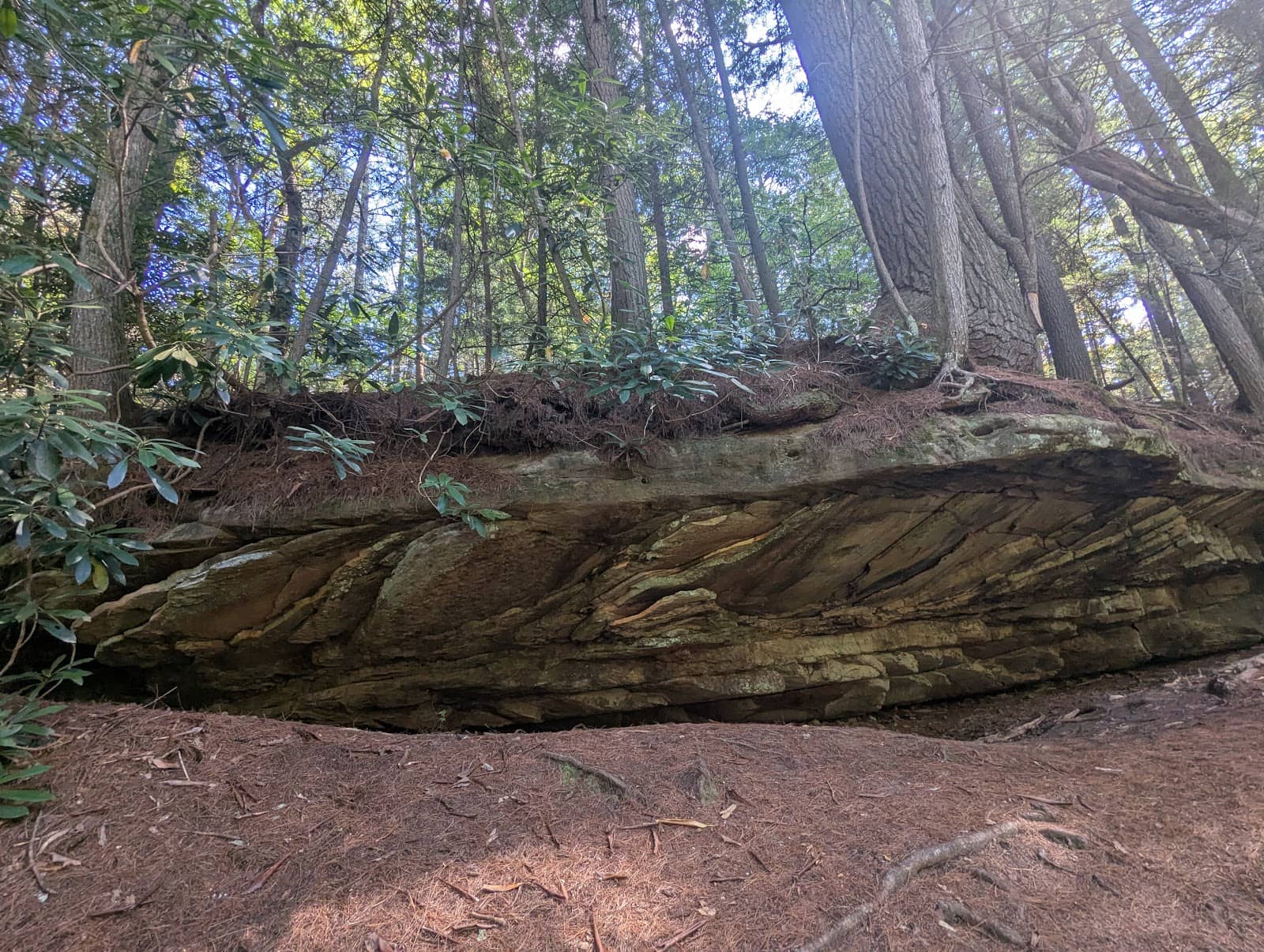 Vertical photo