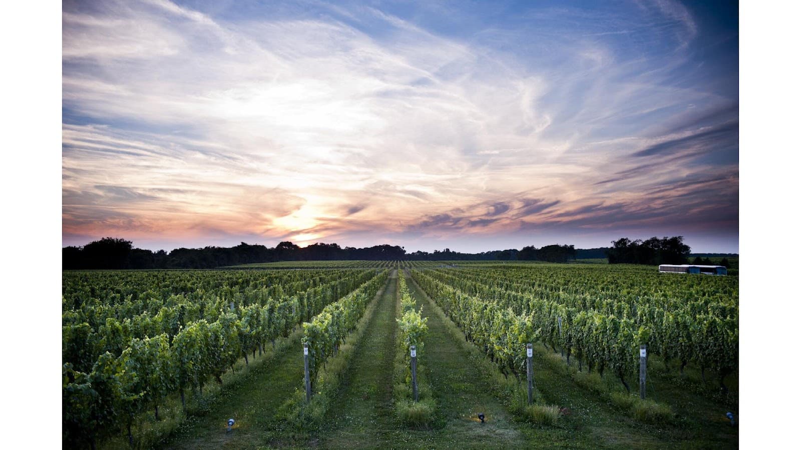 Bedell Cellars - Image 1