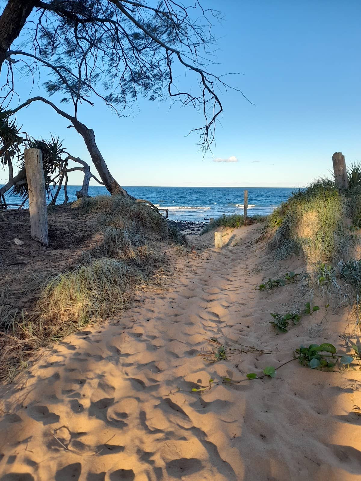 Innes Park Beachfront