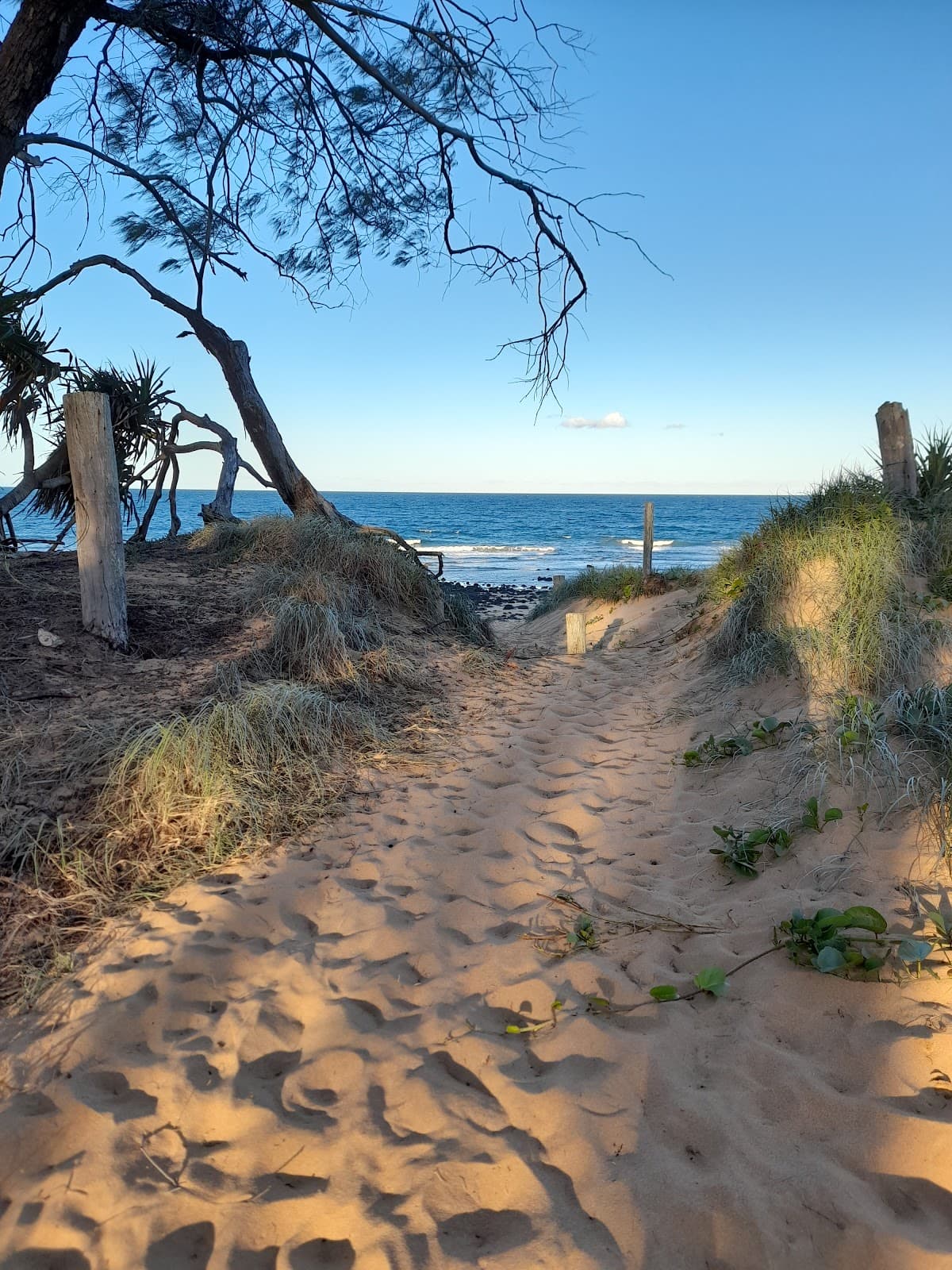 Innes Park - Image 1