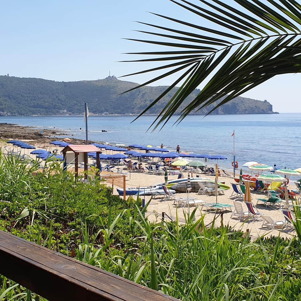 Centola Historic Center - Image 1