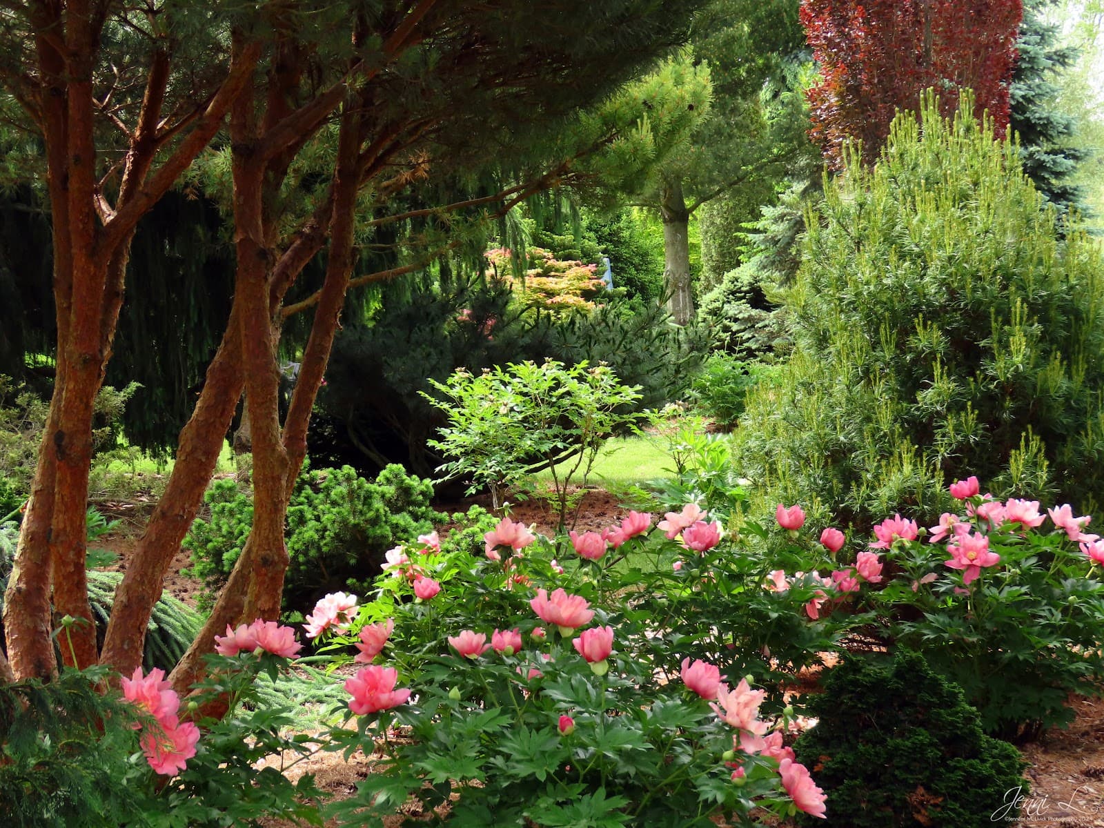 Whistling Gardens - Image 1