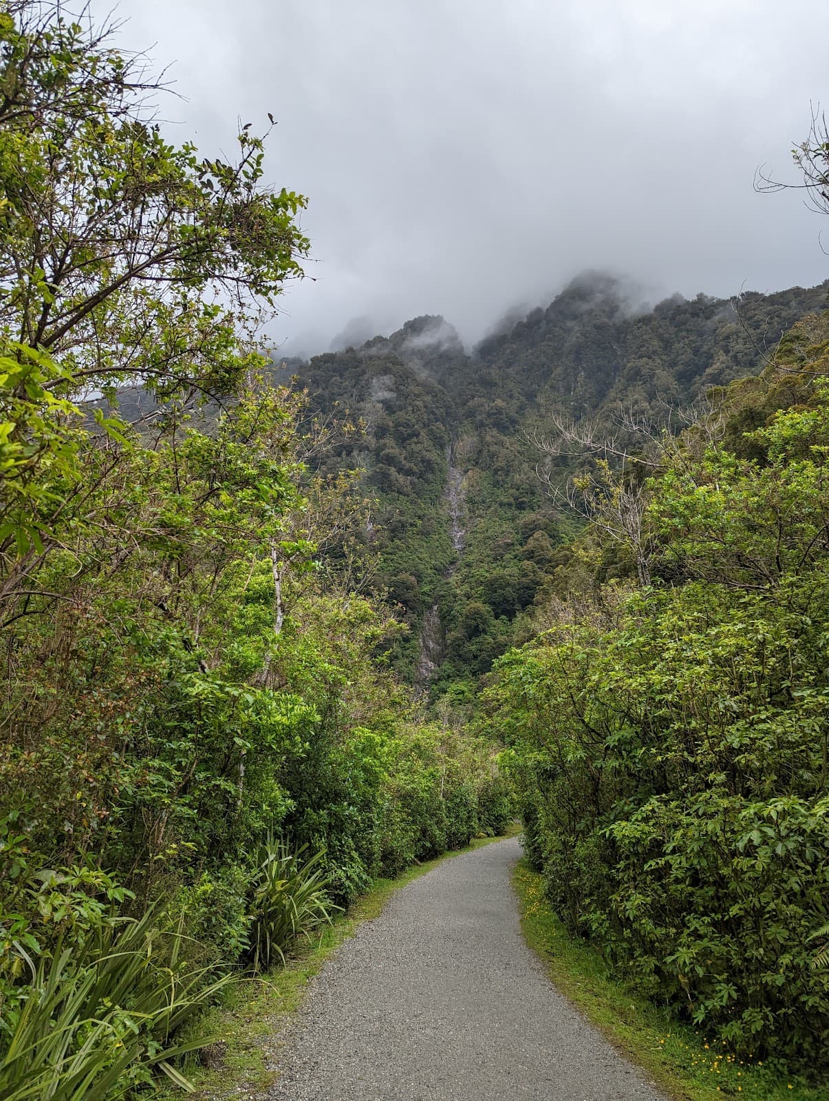 Franz Josef Glacier Walk - Image 1