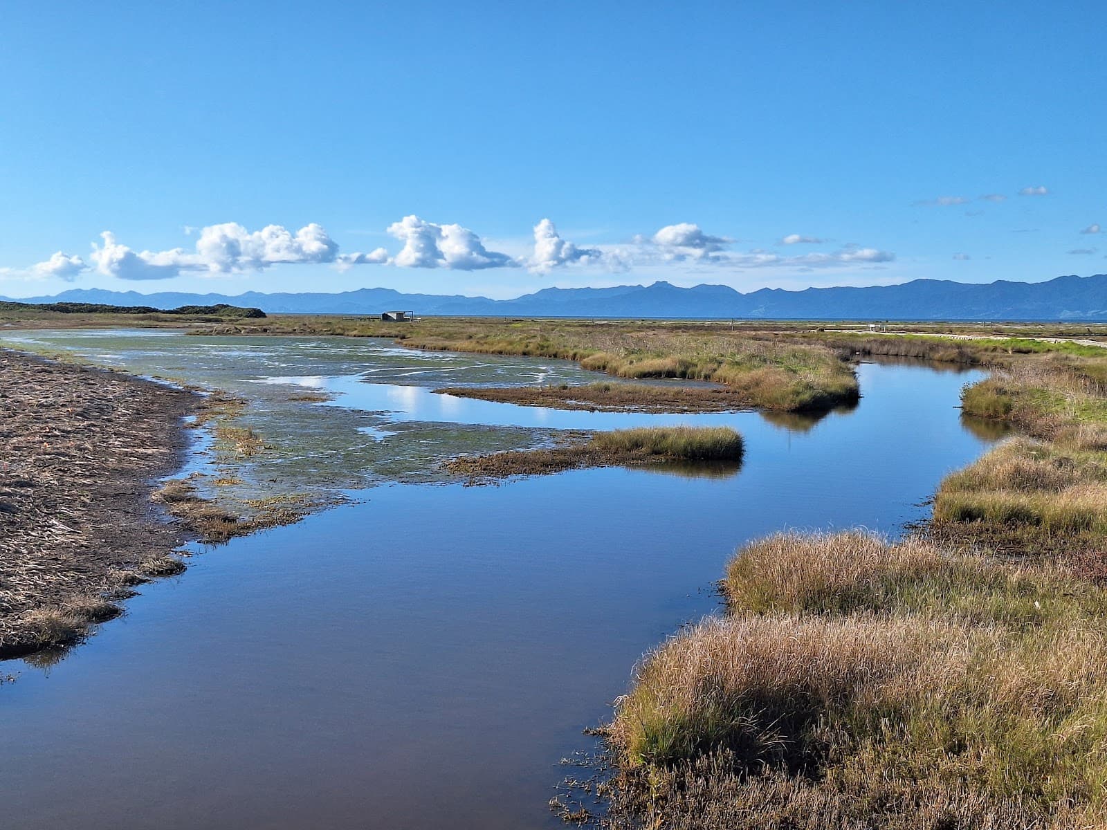 Robert Findlay Wildlife Reserve (Miranda) - Image 1