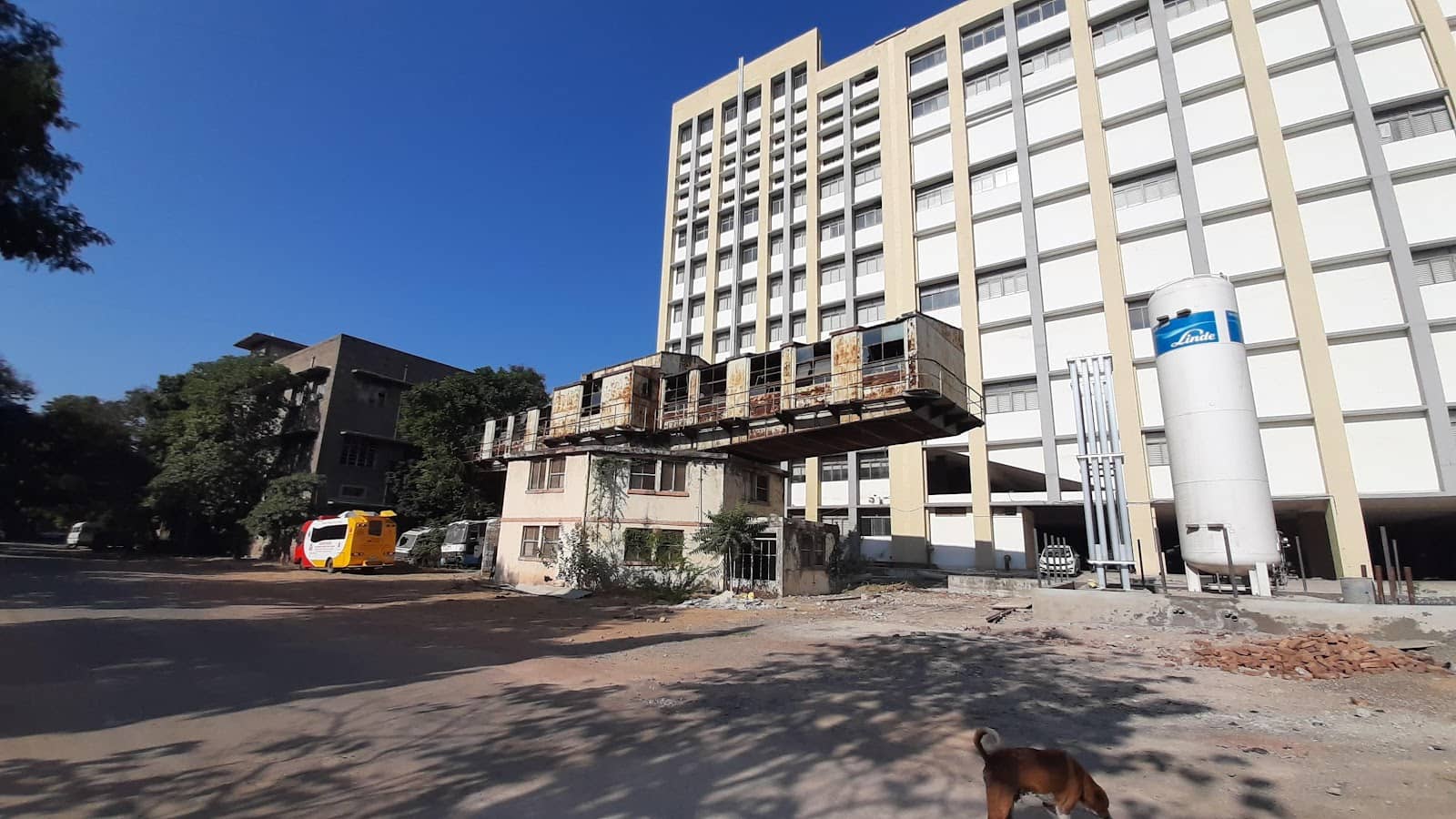 Solarium Bistro (Select Ships)