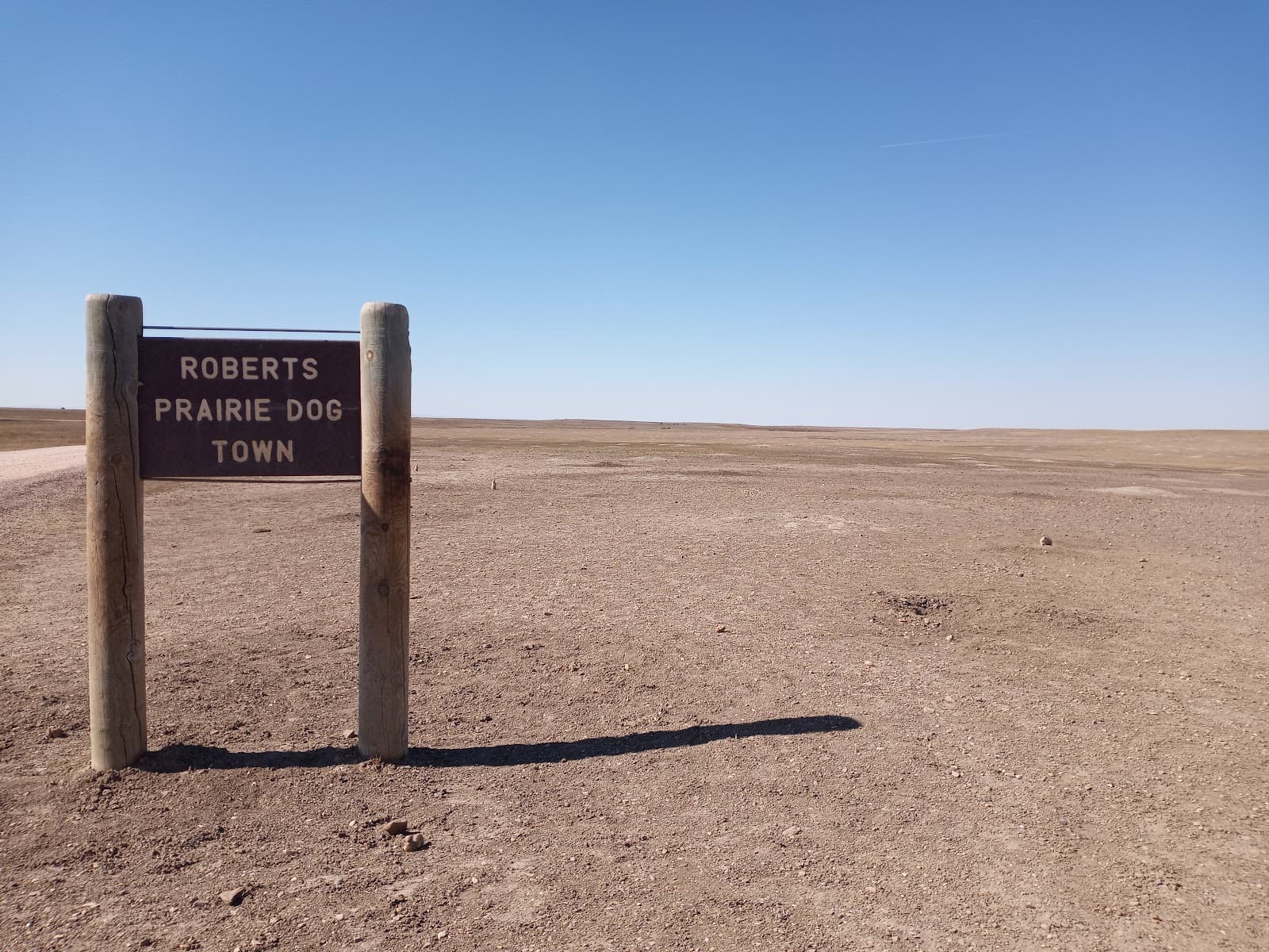 Prairie Dog Town (South Unit) - Image 1