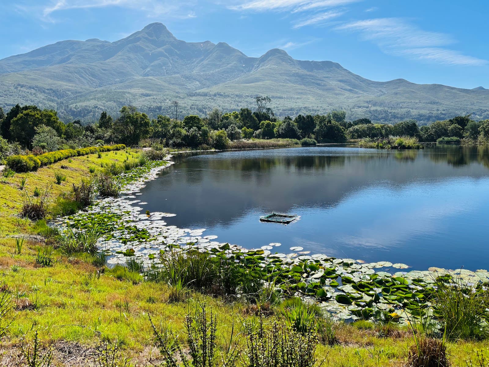 Garden Route Botanical Garden - Image 1
