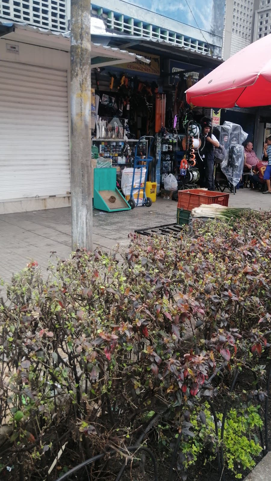 Plaza de Mercado La 21 - Image 1