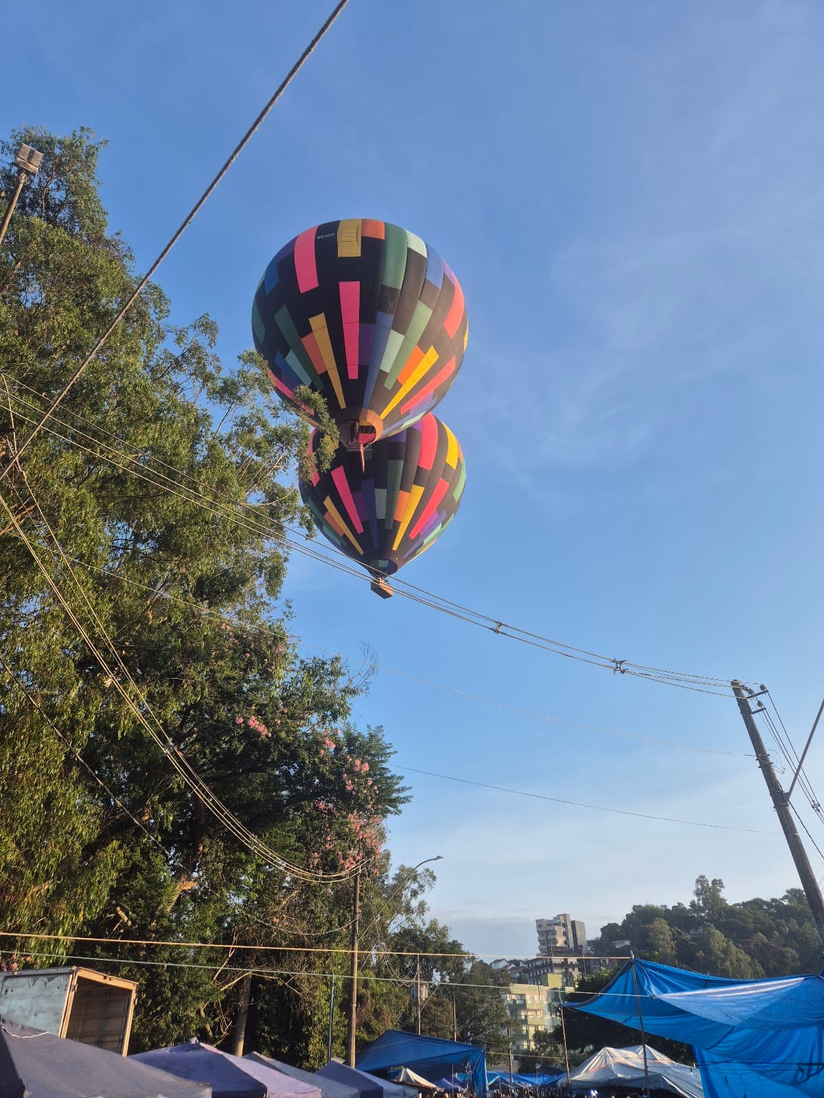 Ilha Antônio Dutra - Image 1