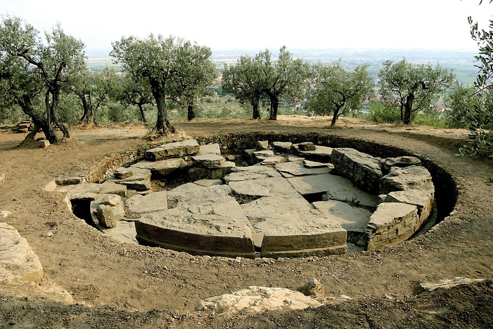 Tanella Angori - Image 1