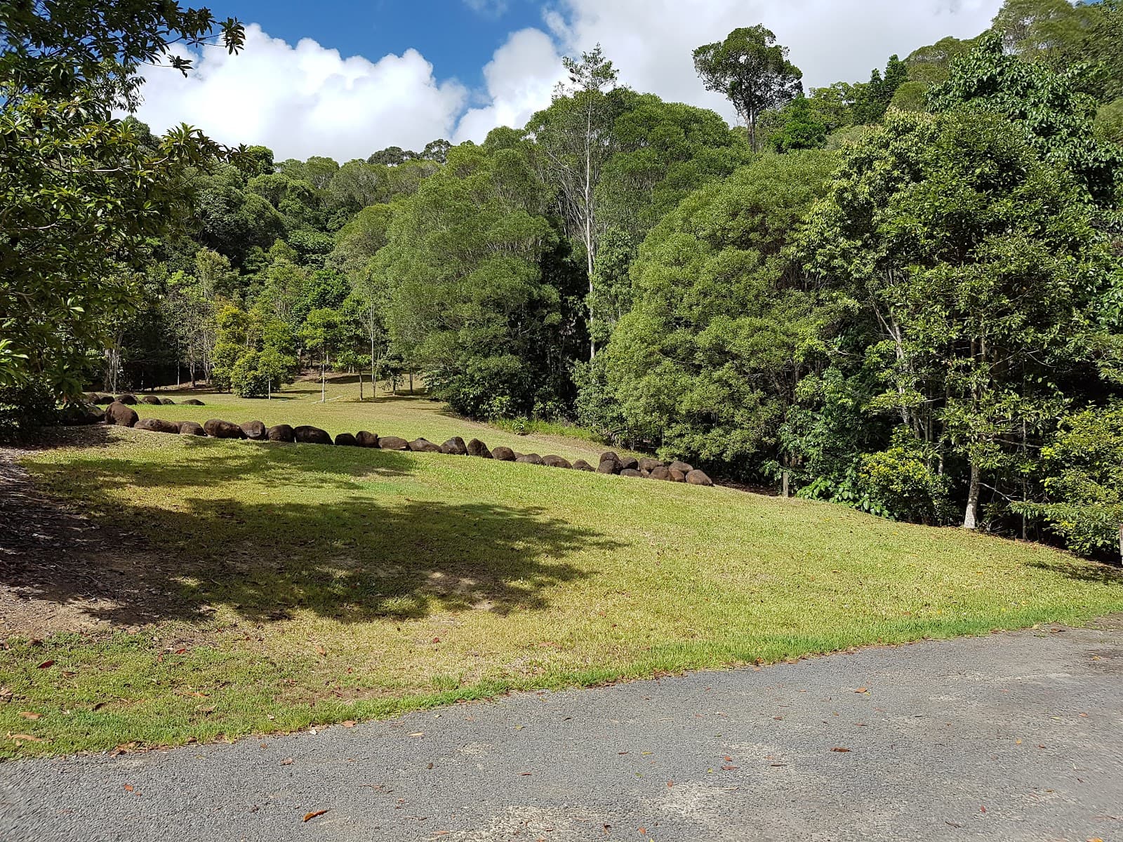 Speewah Conservation Park - Image 1