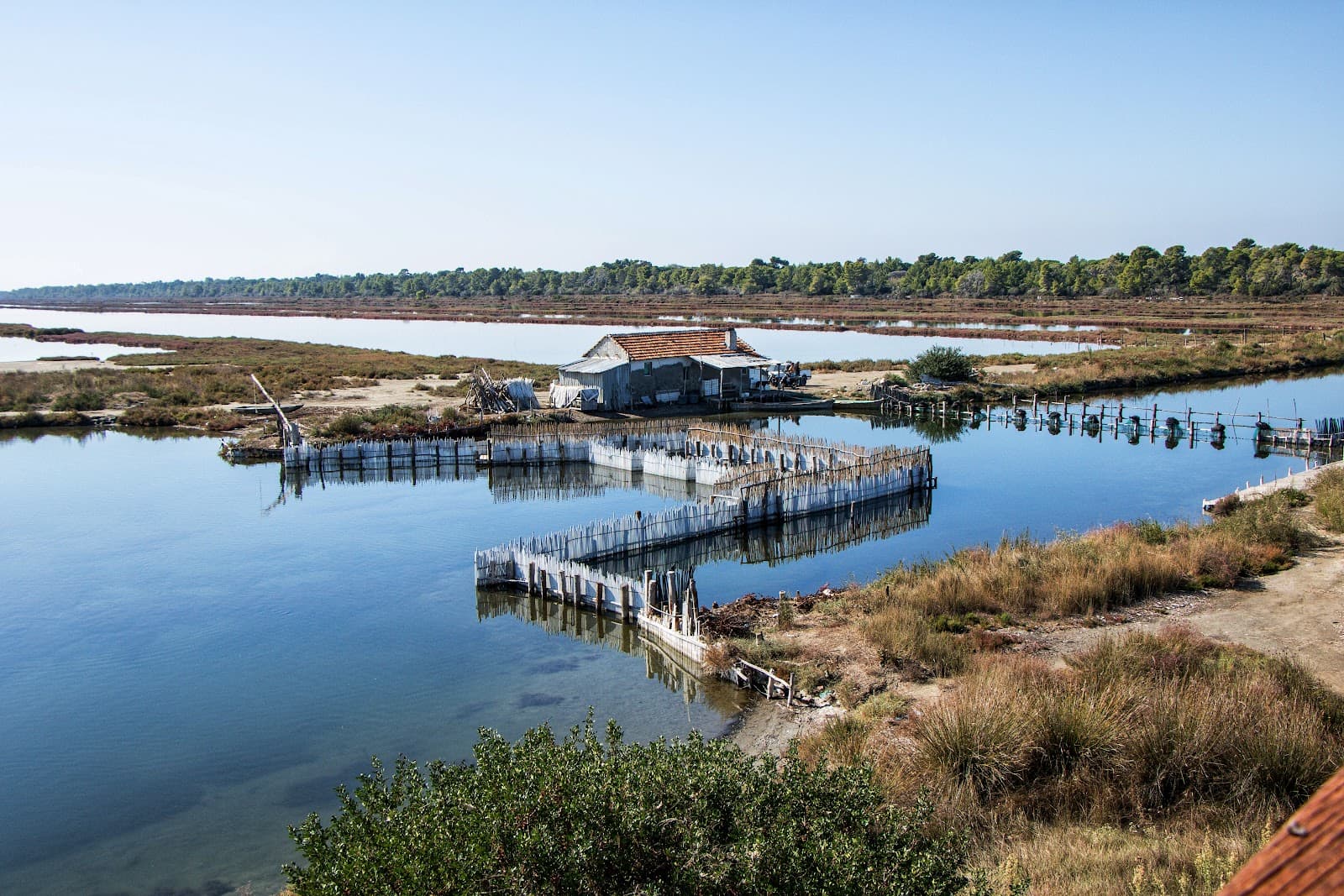 Divjaka-Karavasta National Park - Image 1
